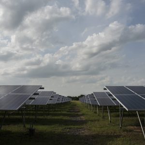 Solar cell farm in power station for alternative energy from the sun
